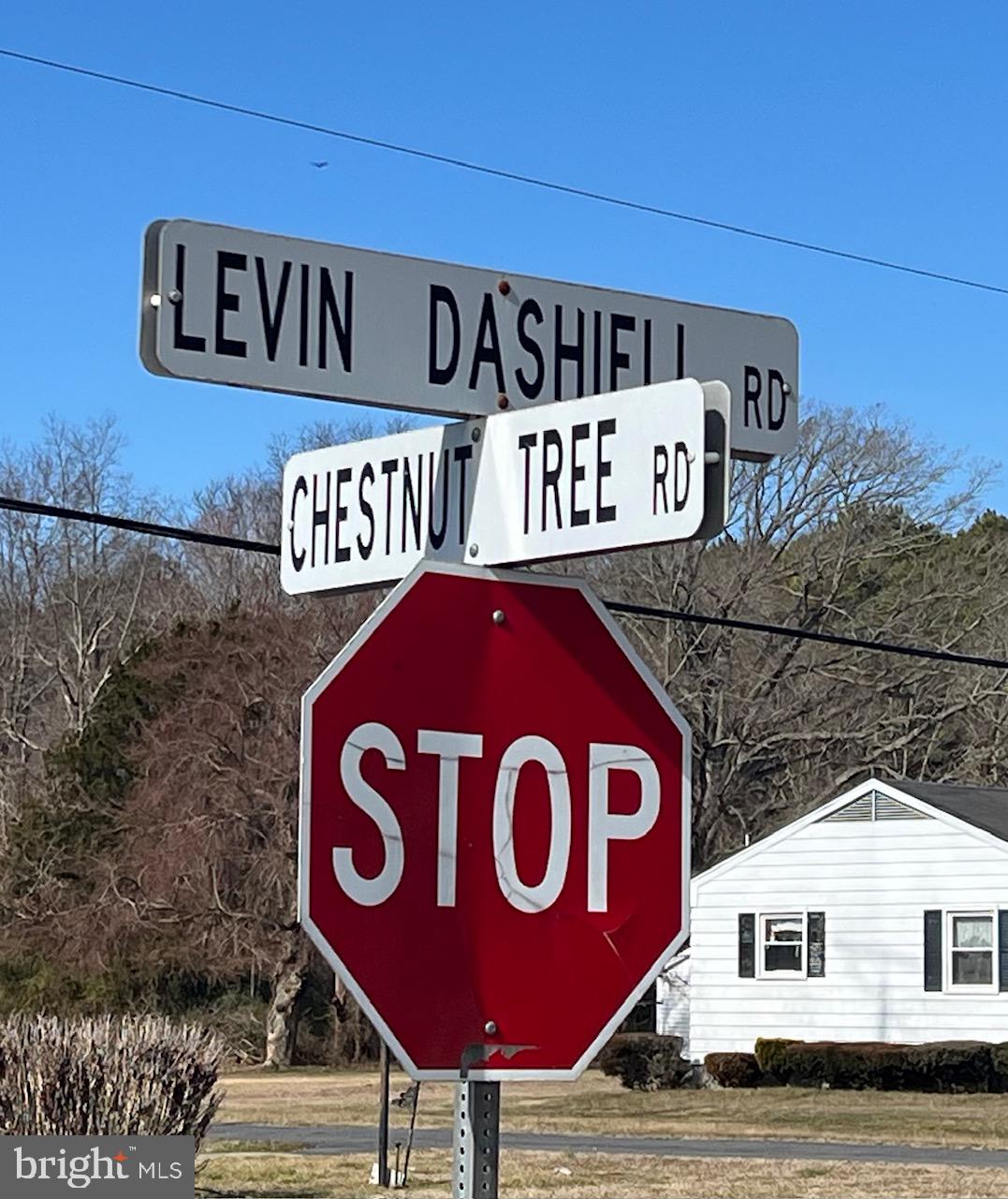 0 Levin Dashiell Road Hebron, MD 21830 - Photo 9 of 9