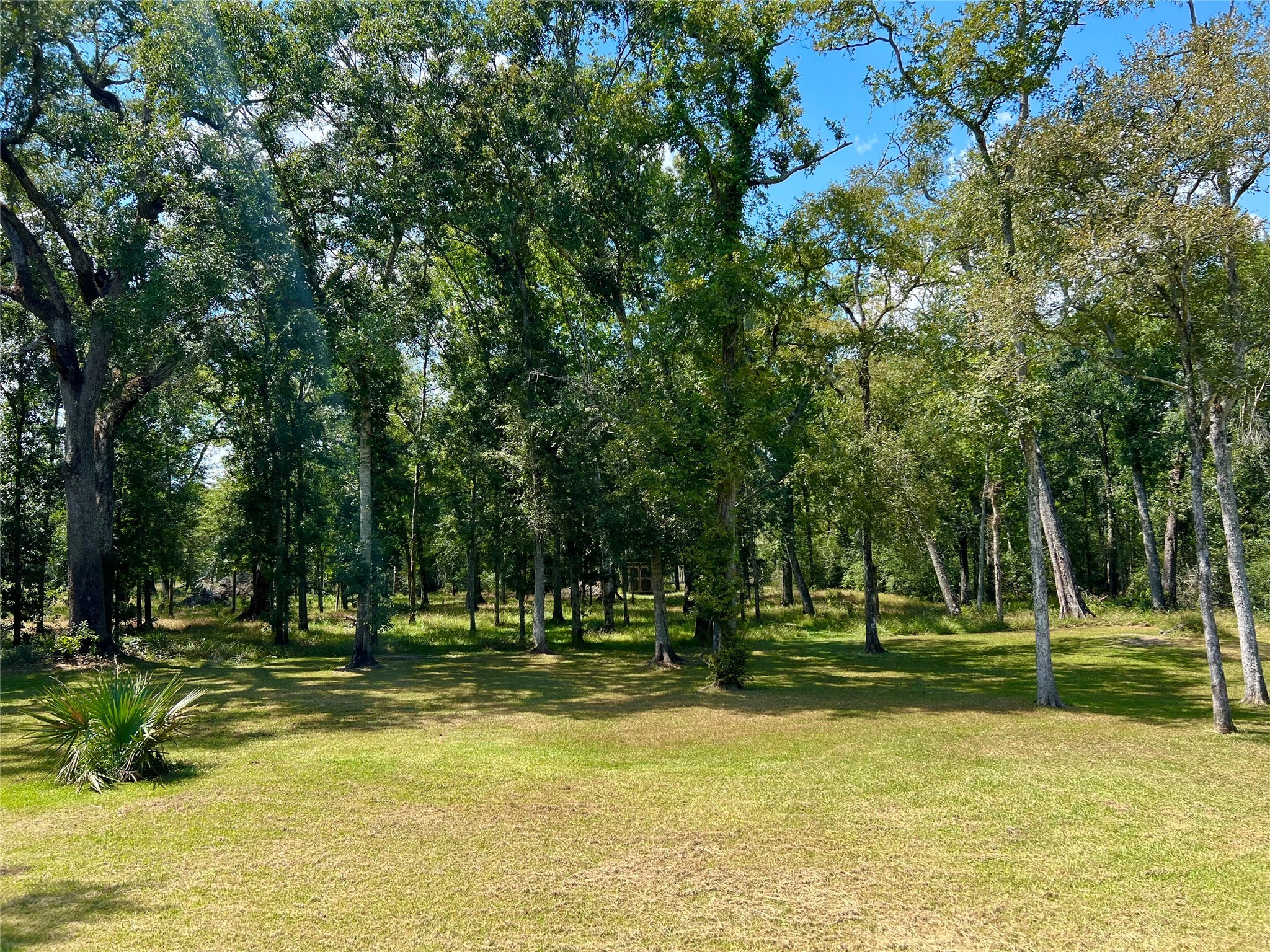 22740 Brazos Circle Damon, TX 77430 - Photo 29 of 30 a view of a swimming pool