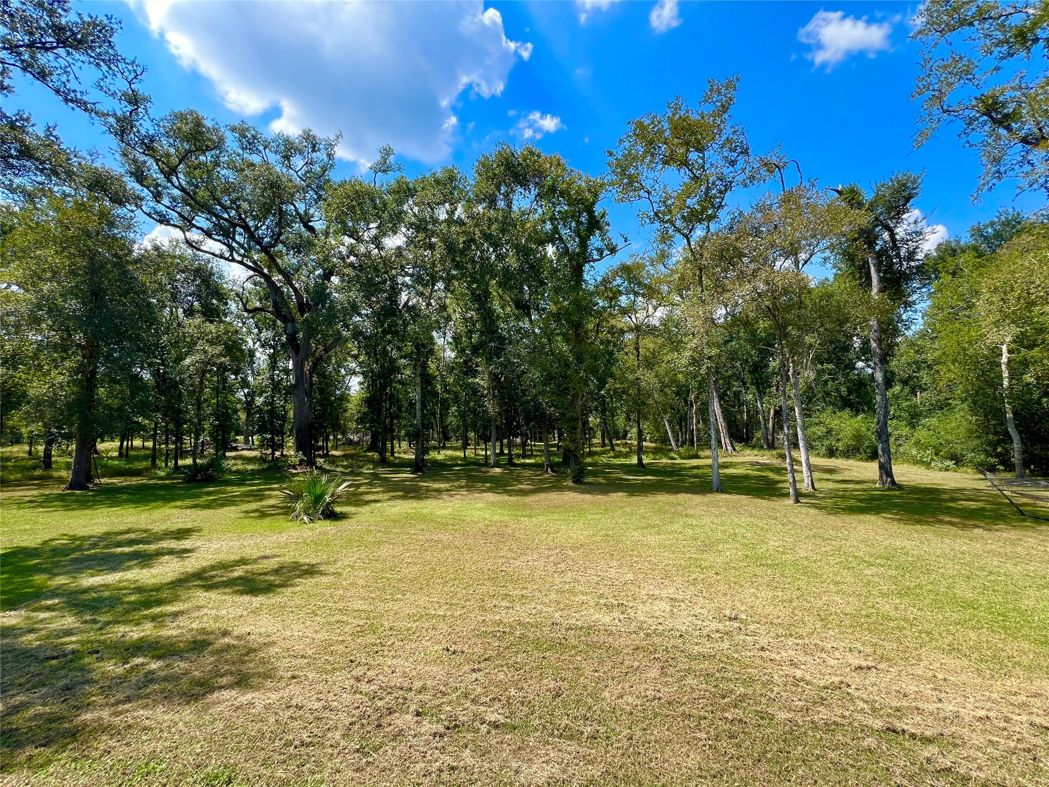 22740 Brazos Circle Damon, TX 77430 - Photo 30 of 30 a view of a swimming pool with a yard and large trees