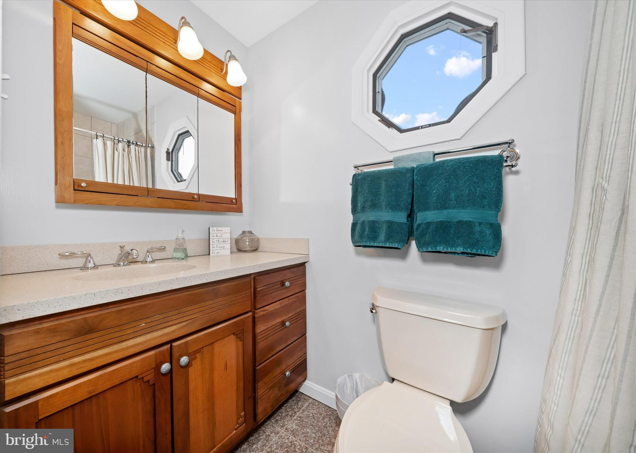 710 Fox Chase Circle Bear, DE 19701 - Photo 31 of 55 a bathroom with a toilet a sink and a mirror