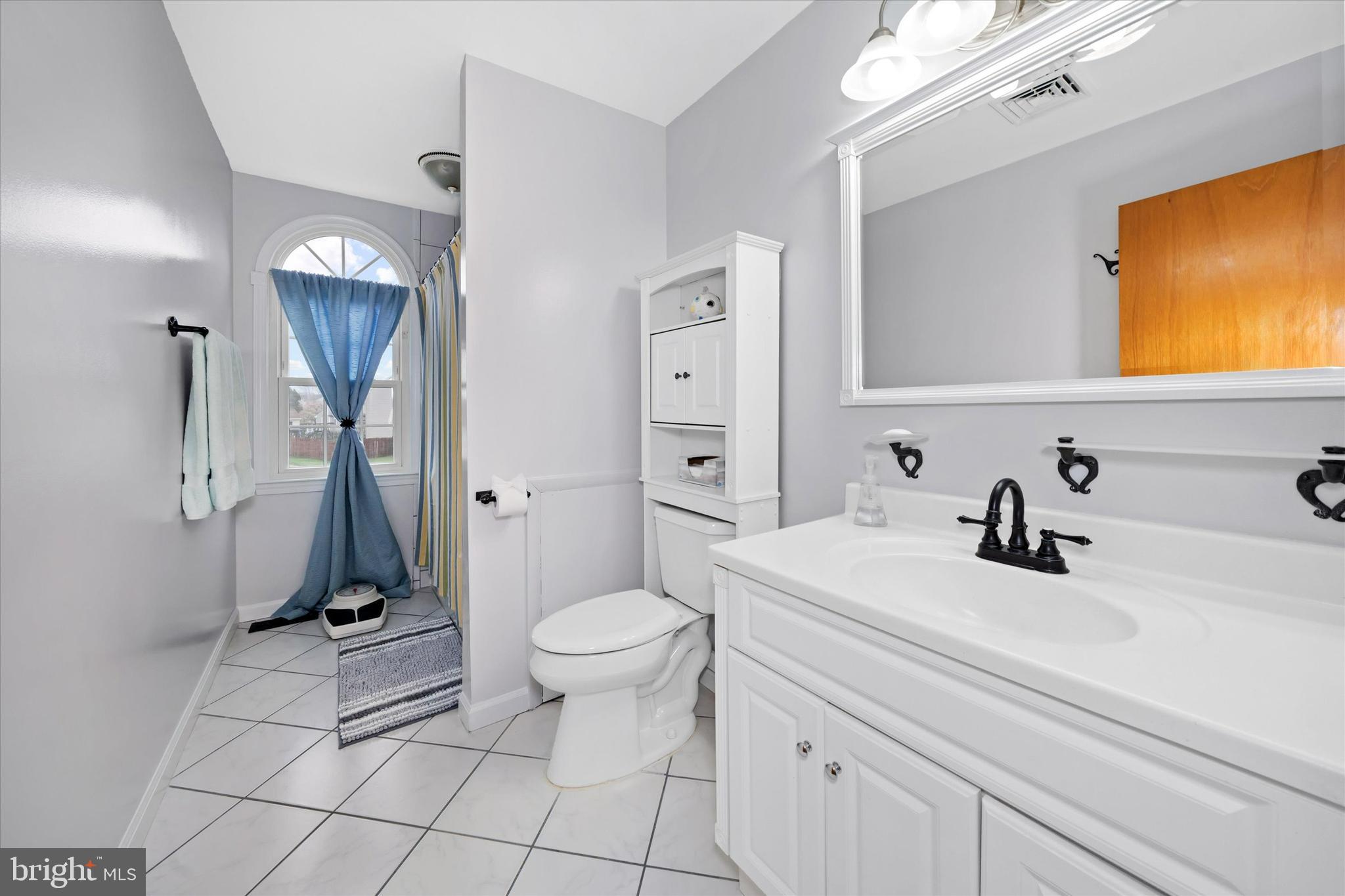 710 Fox Chase Circle Bear, DE 19701 - Photo 40 of 55 a bathroom with a sink a toilet and mirror