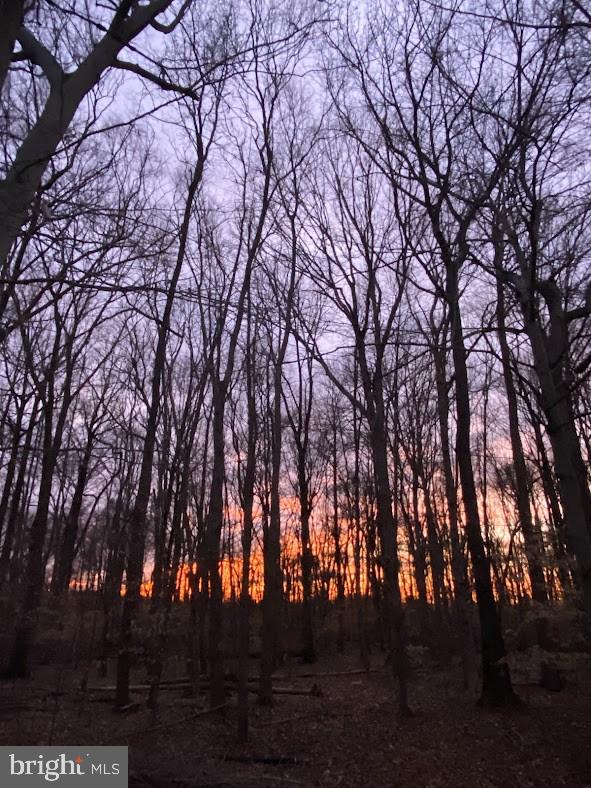 710 Fox Chase Circle Bear, DE 19701 - Photo 54 of 55 a backyard of a house with lots of green space