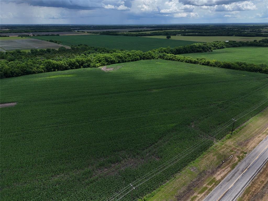 203 Fm 2675 Cooper, TX 75432 - Photo 2 of 17 a view of a golf course with a garden