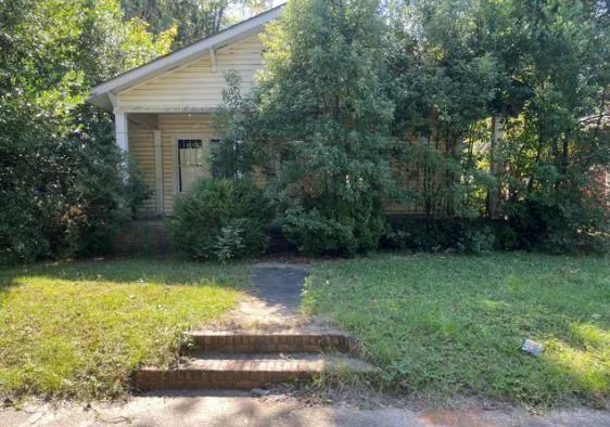 a view of a backyard with plants and large trees