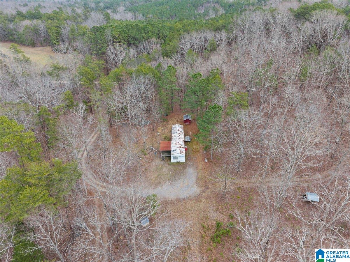 1484 Waid Road Oneonta, AL 35121 - Photo 26 of 33