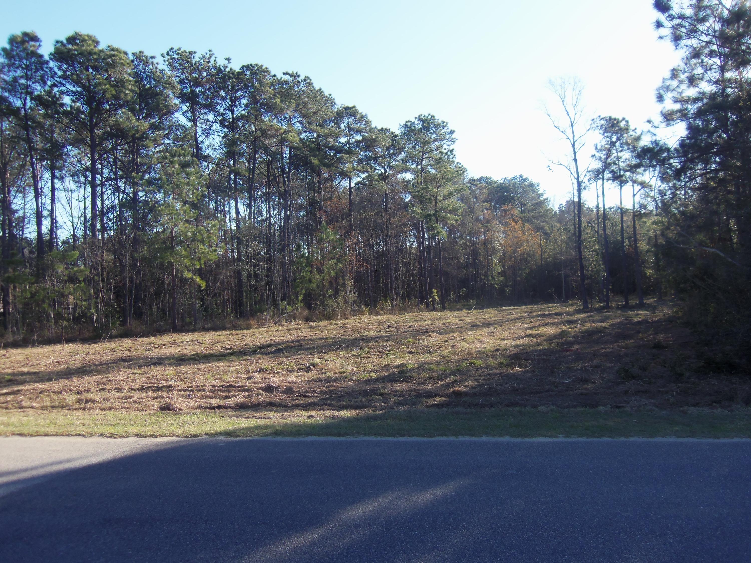 0 Victoria Road Wando, SC 29492 - Photo 2 of 2 Front view