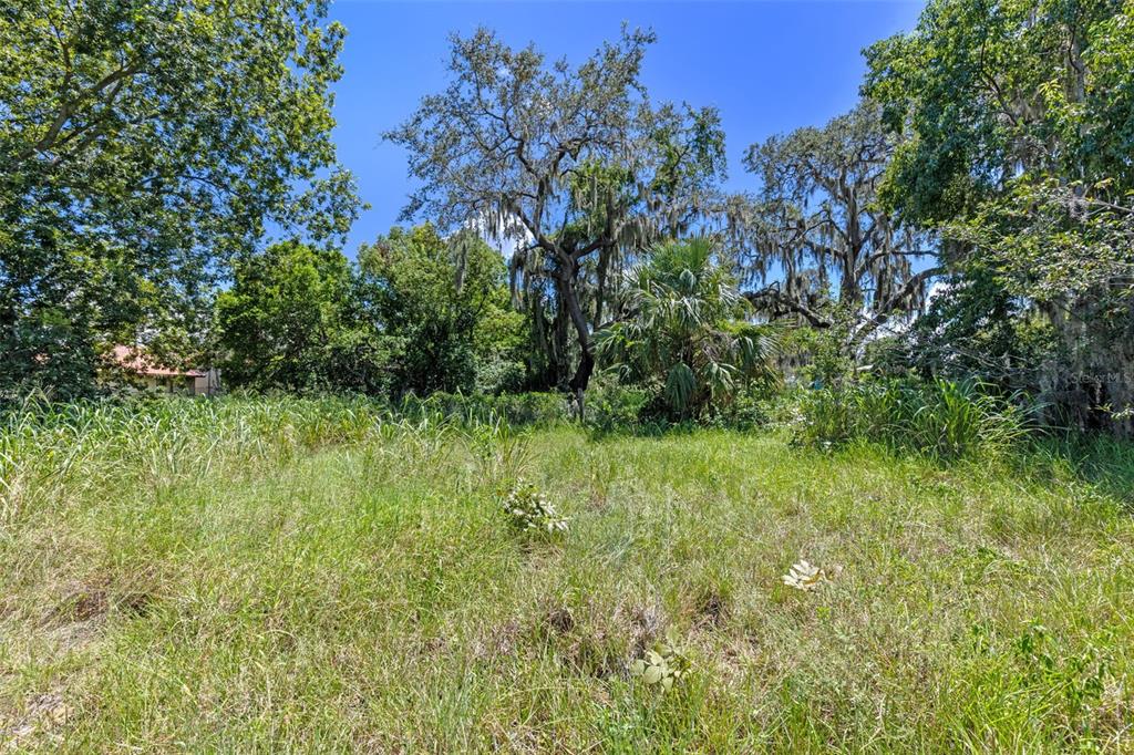 8th Street Montverde, FL 34756 - Photo 10 of 20