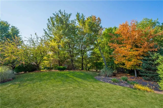 a view of a yard with a tree