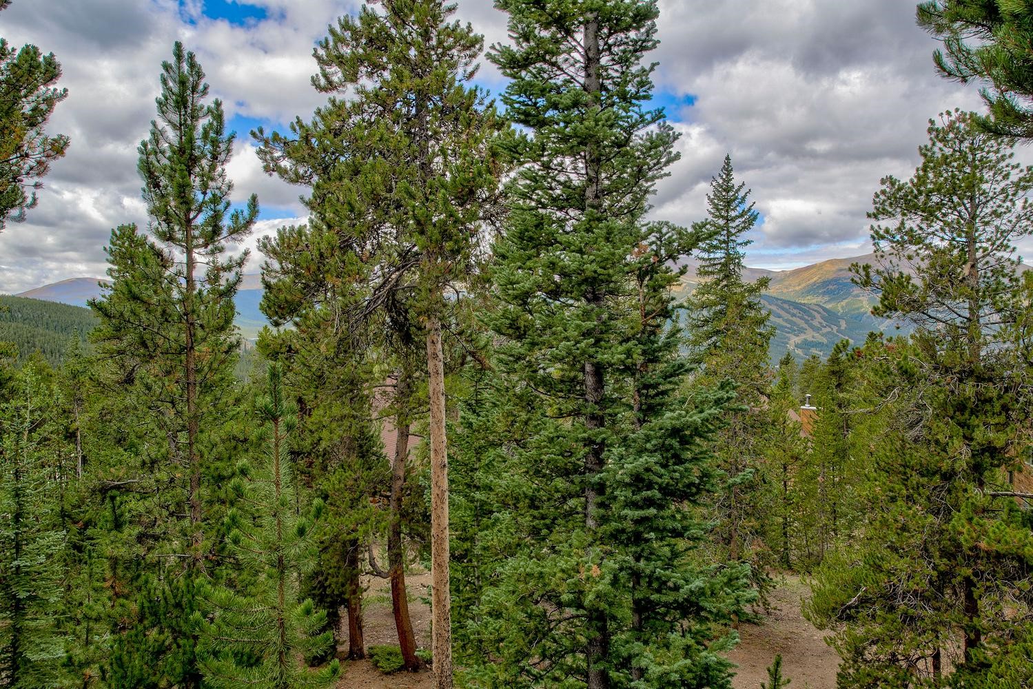 151 Emmett Lode Road Breckenridge, CO 80424 - Photo 15 of 31 Gallery Image 15