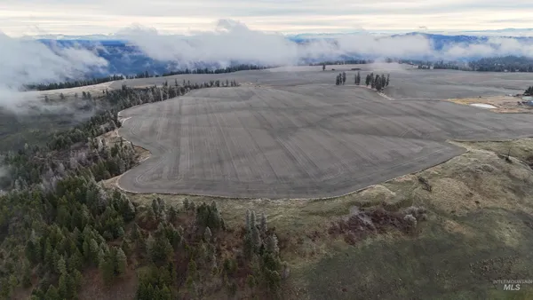 $2,985,000 | 2439 Albers Road, Nezperce, ID 83543