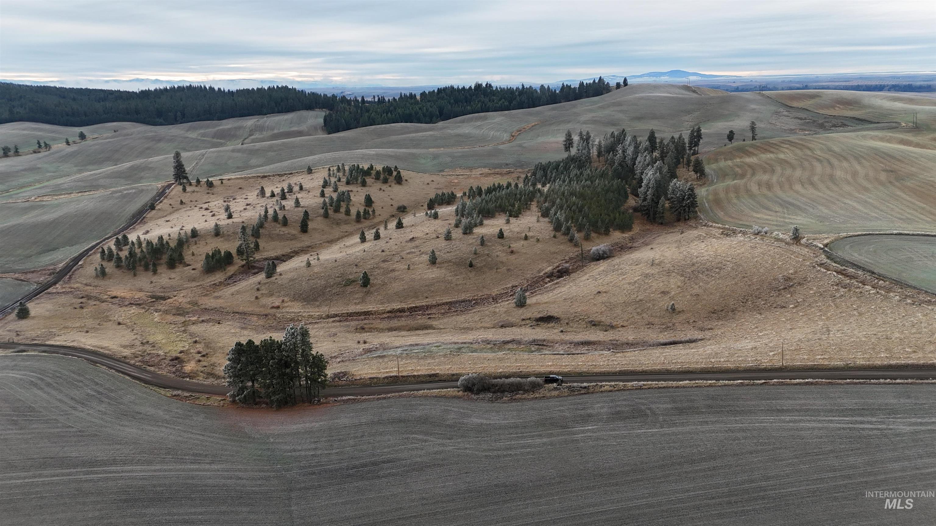 2439 Albers Road Nezperce, ID 83543 - Photo 11 of 12 Aerial view of property and surrounding area featuring mountains