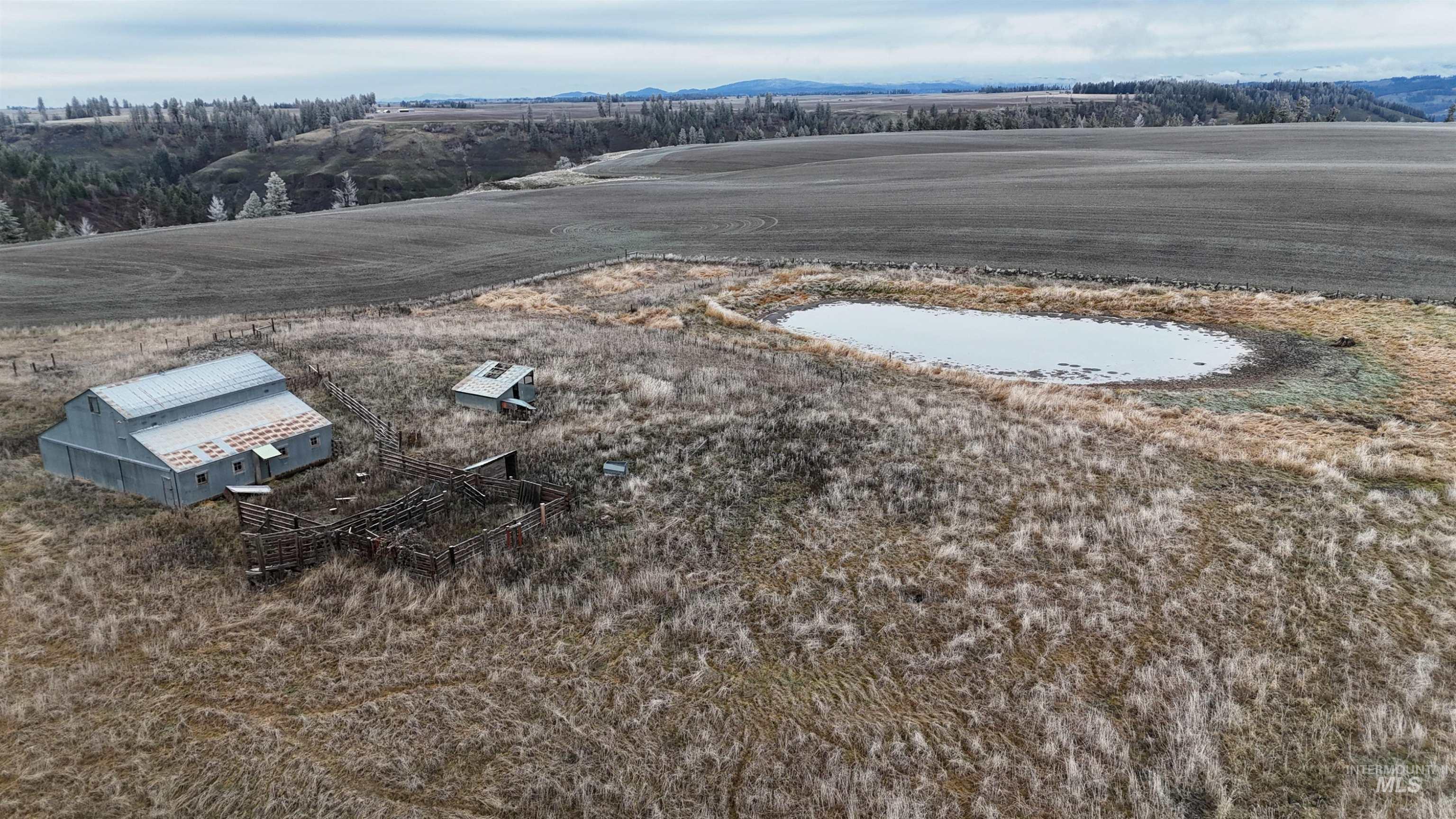 2439 Albers Road Nezperce, ID 83543 - Photo 2 of 12 View of rural area