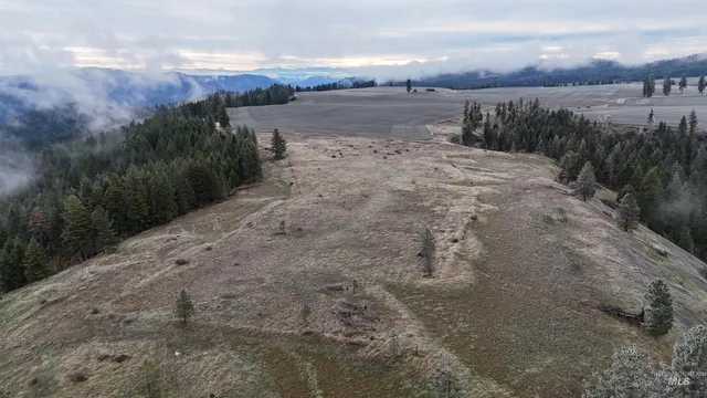 $2,985,000 | 2439 Albers Road, Nezperce, ID 83543