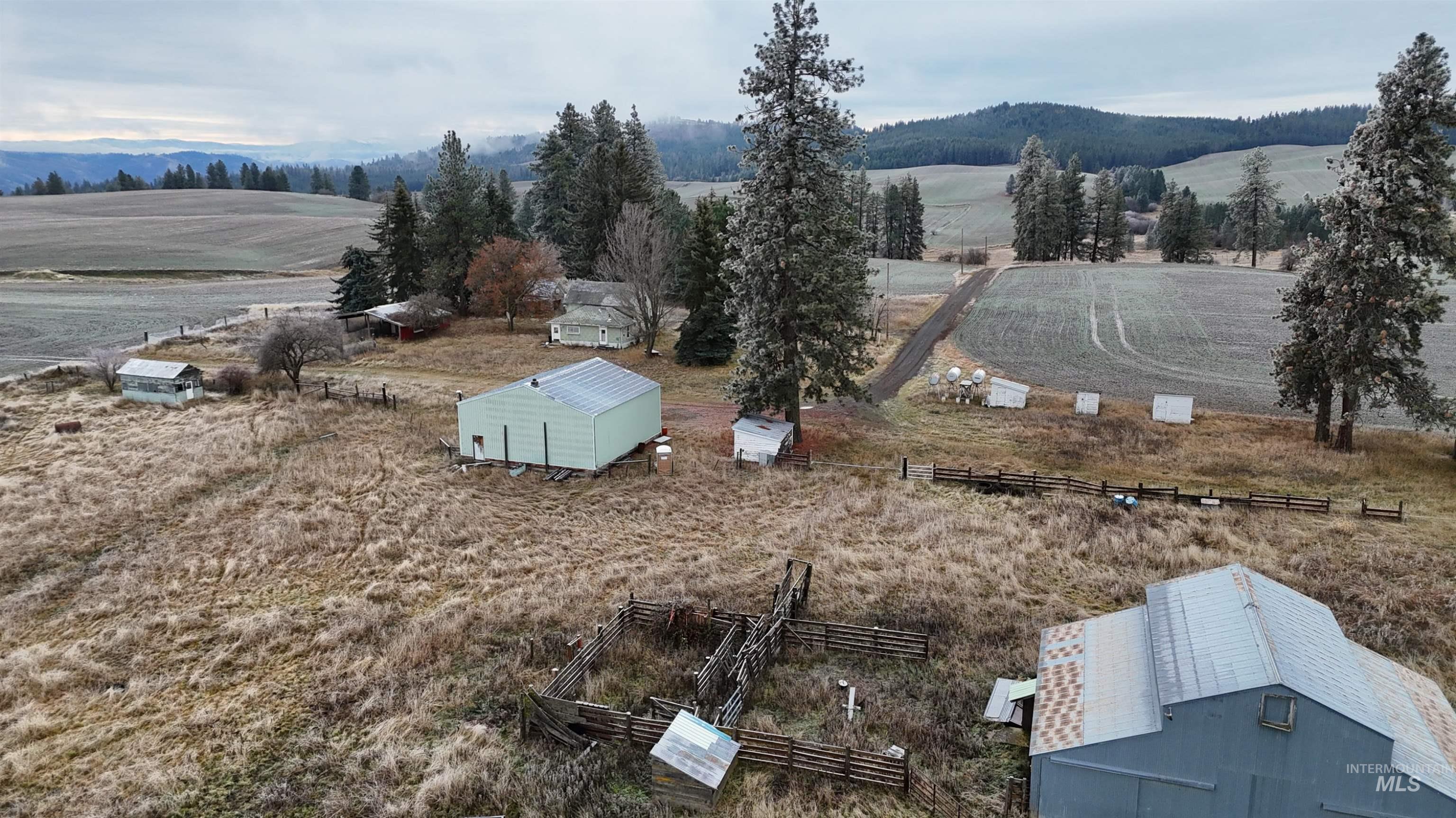 2439 Albers Road Nezperce, ID 83543 - Photo 5 of 12 Overview of rural landscape featuring a mountain backdrop