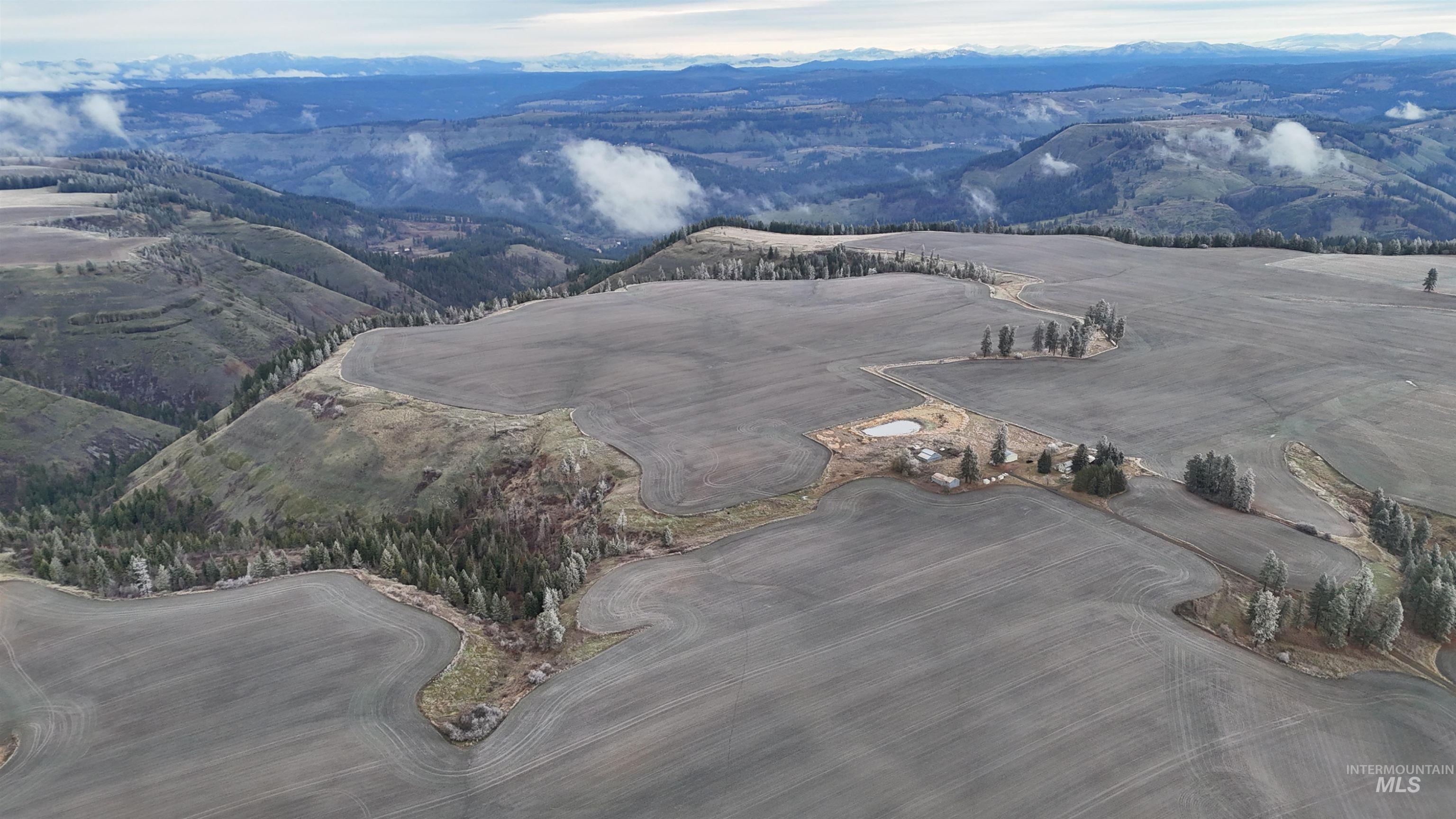 2439 Albers Road Nezperce, ID 83543 - Photo 7 of 12 Drone / aerial view of a mountain backdrop