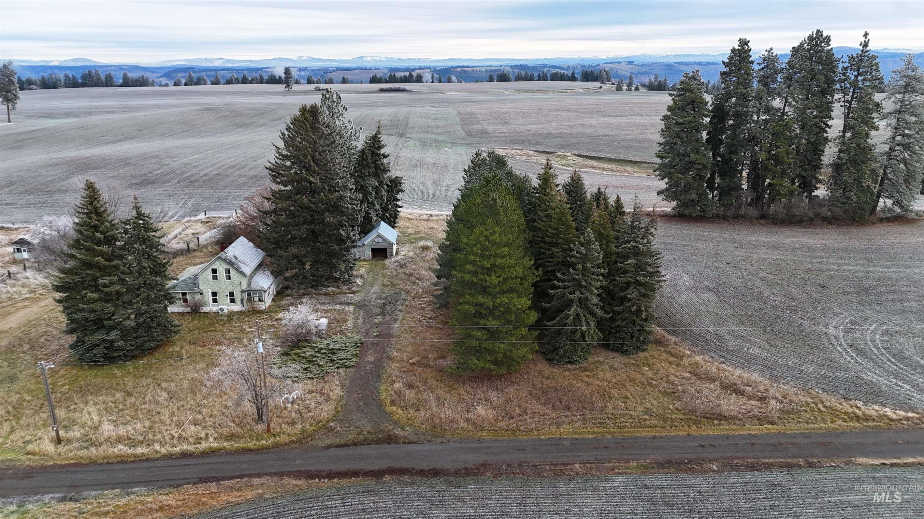 2439 Albers Road Nezperce, ID 83543 - Photo 9 of 12 Overview of rural landscape featuring mountains