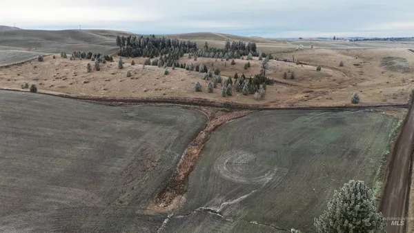 $2,985,000 | 2439 Albers Road, Nezperce, ID 83543