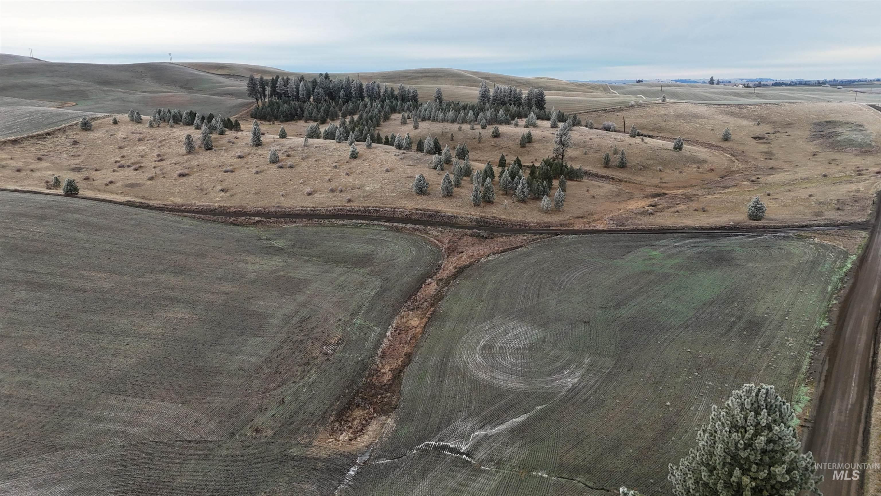 2439 Albers Road Nezperce, ID 83543 - Photo 10 of 12 Aerial view of property's location with rural landscape
