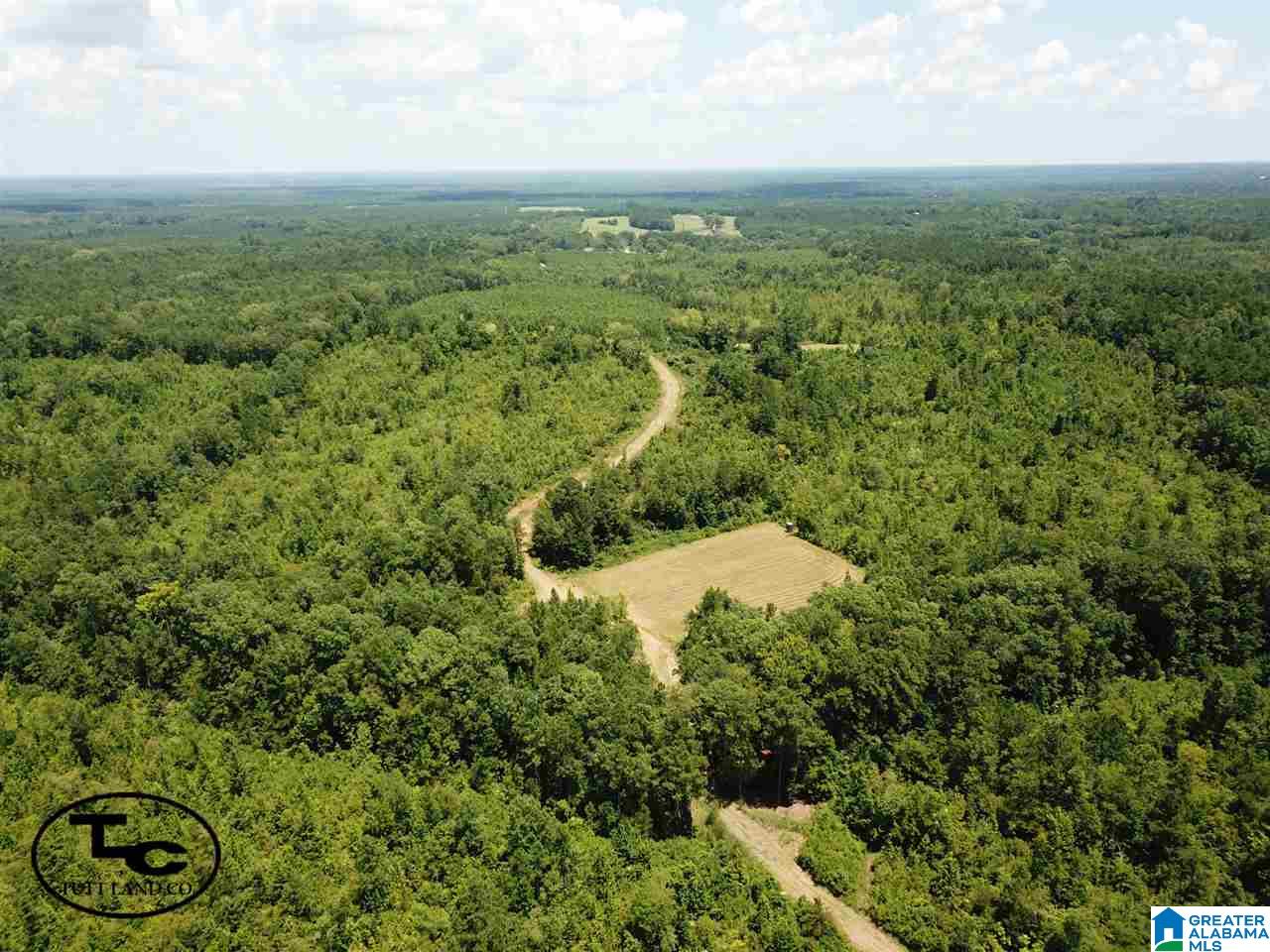 43 Highway, Unit CALVARY Demopolis, AL 36732 - Photo 1 of 9