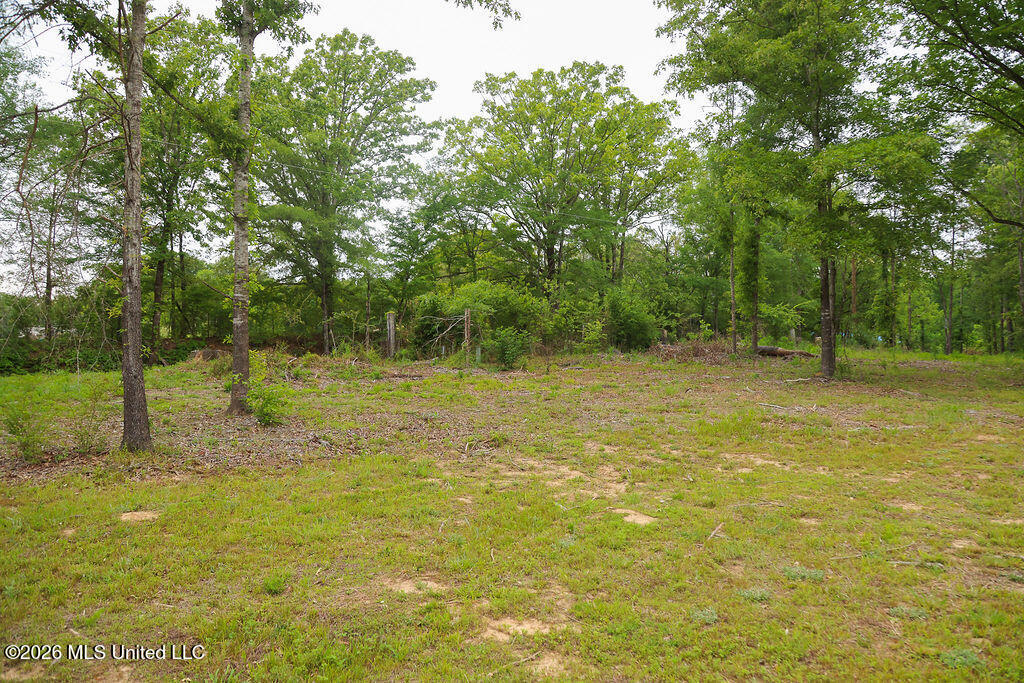 2336 Sharon Road Canton, MS 39046 - Photo 22 of 24 IMG_1710