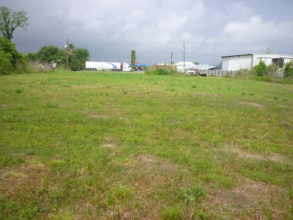 a backyard of a house with lots of green space and plants