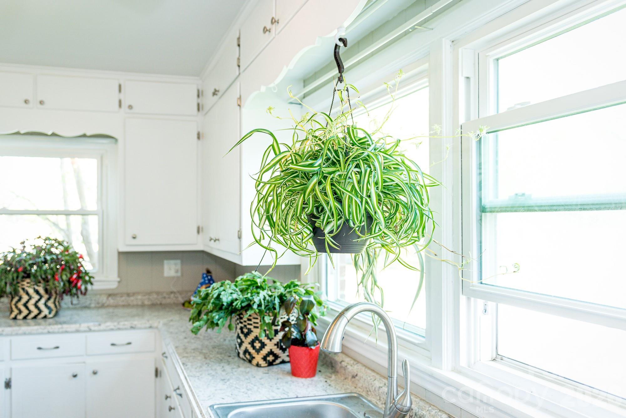 610 East Main Street Cherryville, NC 28021 - Photo 35 of 48 a plant sitting in front of a window