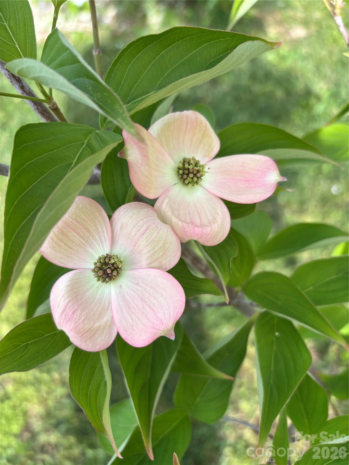 610 East Main Street Cherryville, NC 28021 - Photo 48 of 48 a bathroom with a sink and a mirror