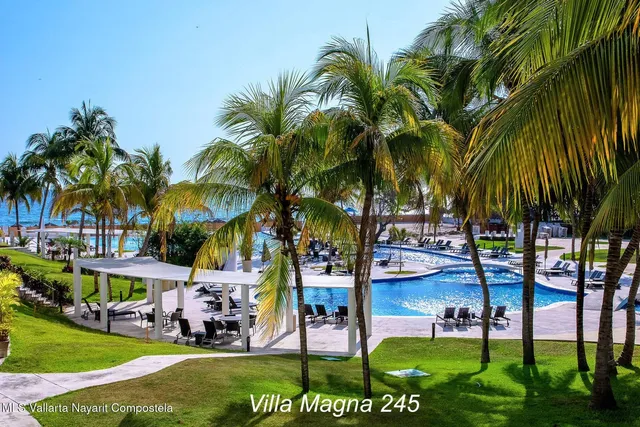 a view of a park with palm trees