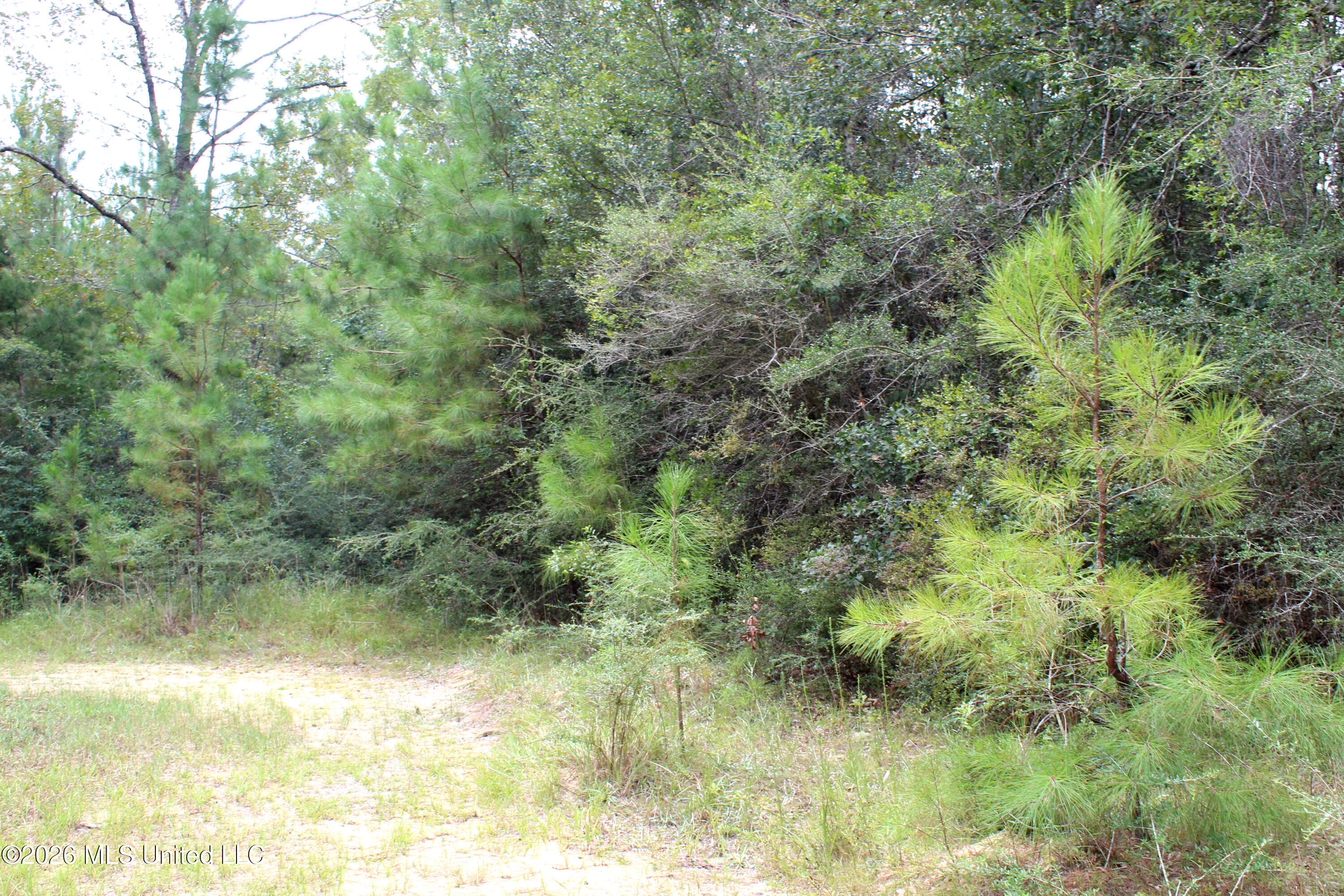John Kelly Road Lucedale, MS 39452 - Photo 8 of 10 266DCA39-CB2B-41AC-BAEC-123AA2CB99EF