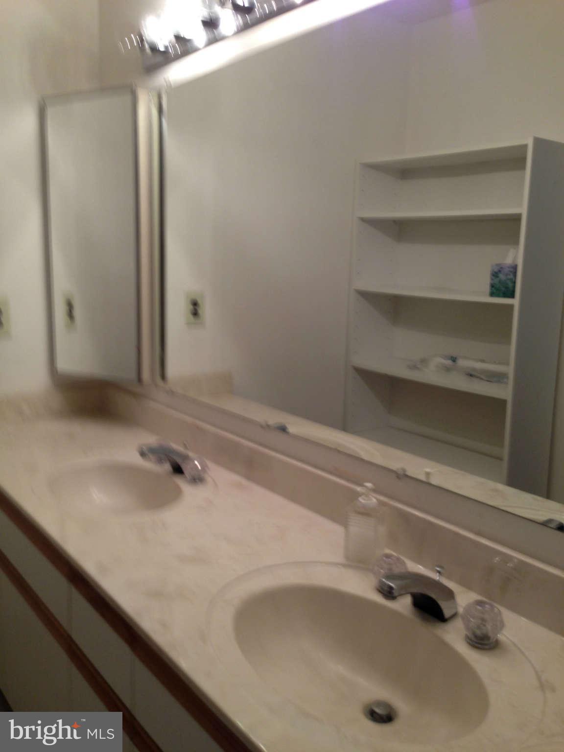 3011 Fallstaff Road, Unit 307A Baltimore, MD 21209 - Photo 11 of 14 Bath (Master)