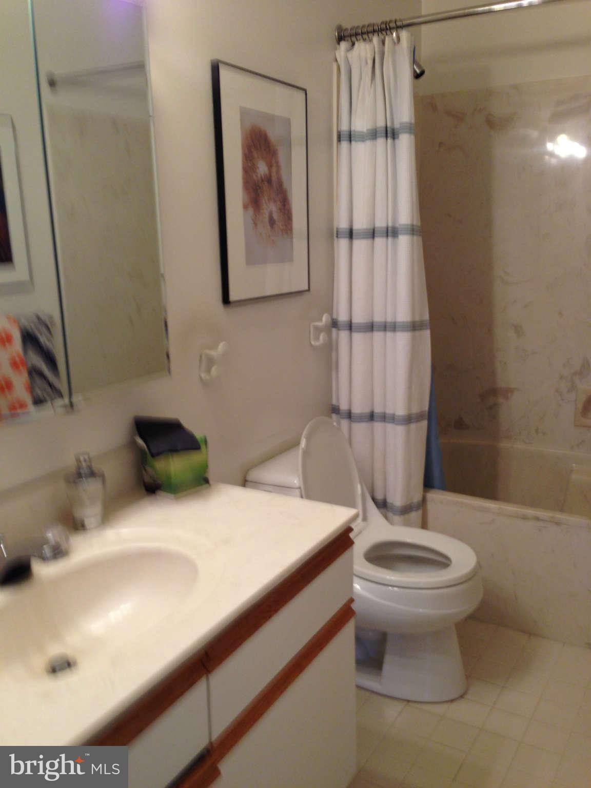 3011 Fallstaff Road, Unit 307A Baltimore, MD 21209 - Photo 8 of 14 Bath