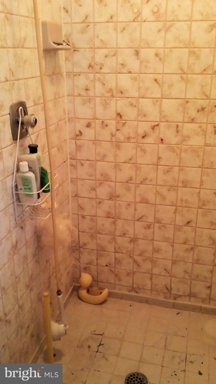 2859 Graham Road Falls Church, VA 22042 - Photo 16 of 21 Bath (Master)