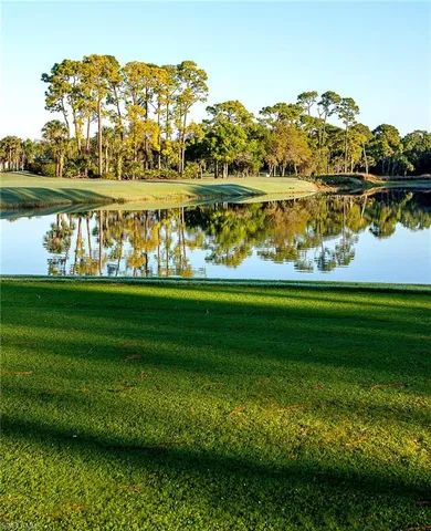 a view of a grassy field with an ocean