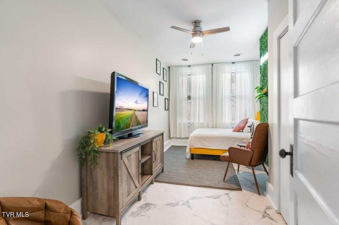 313 South Cutler Street Greeneville, TN 37743 - Photo 11 of 20 1000017623