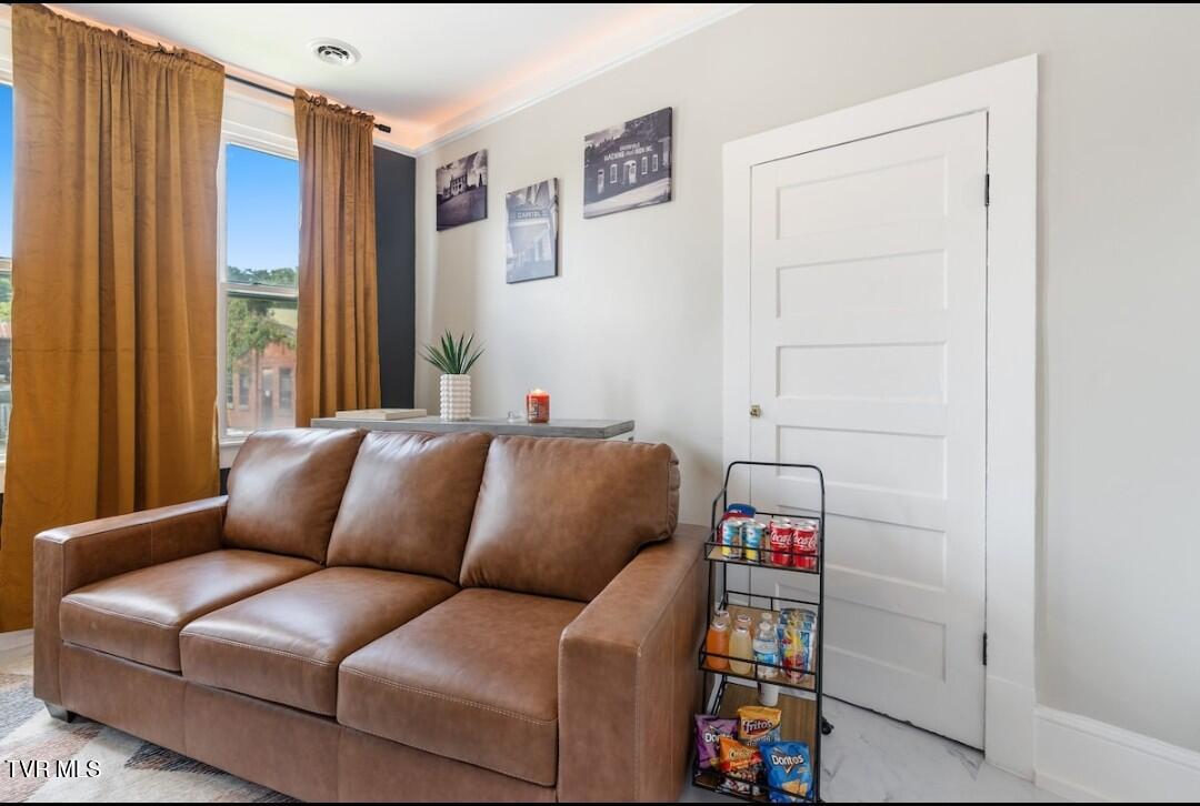 313 South Cutler Street Greeneville, TN 37743 - Photo 6 of 20 1000017634