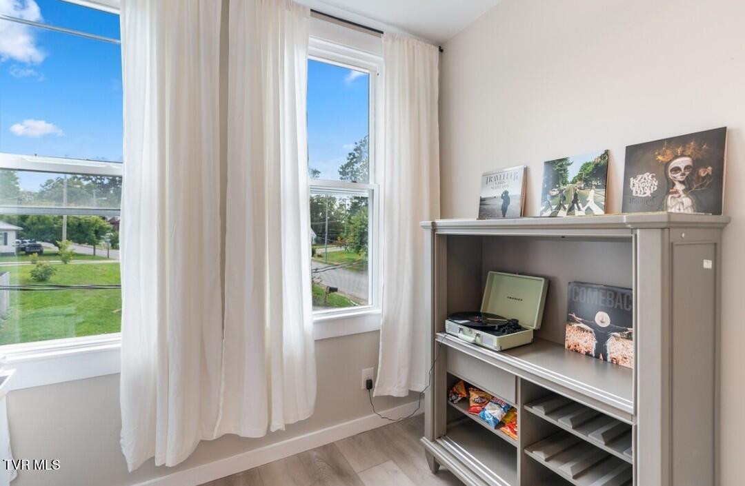 313 South Cutler Street Greeneville, TN 37743 - Photo 8 of 20 1000017620