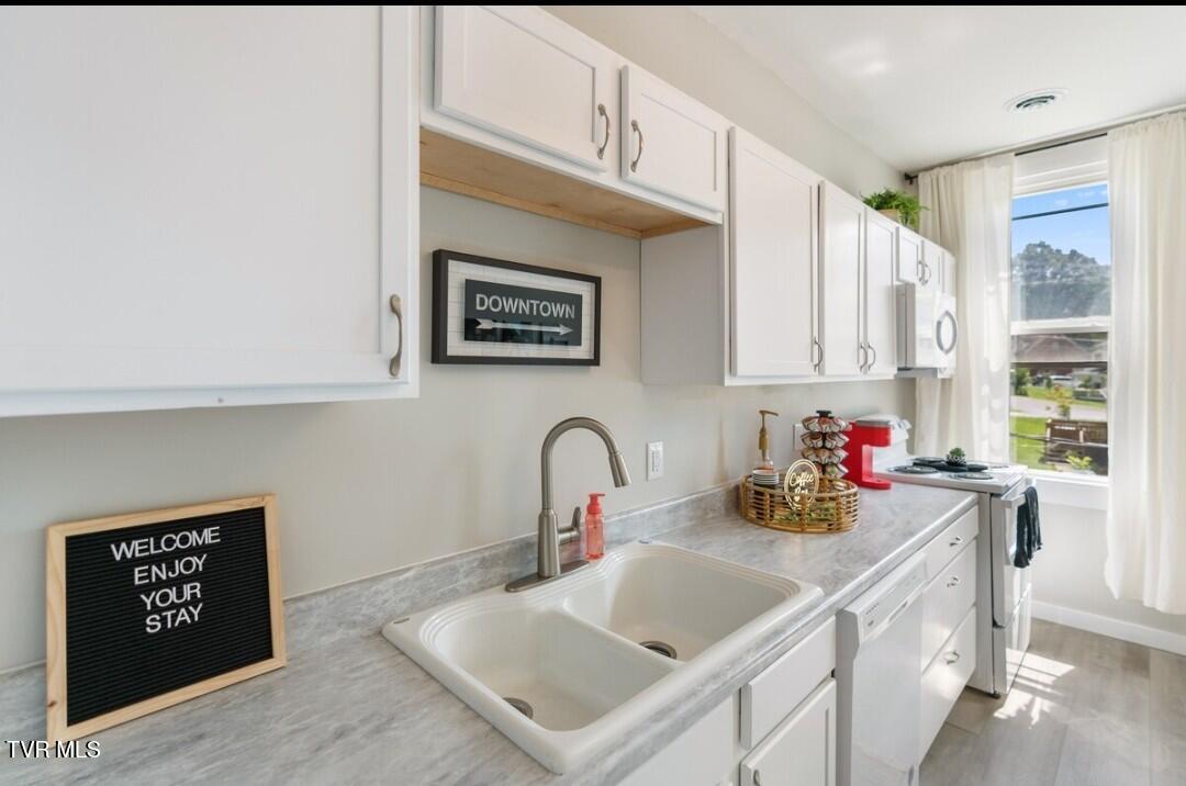 313 South Cutler Street Greeneville, TN 37743 - Photo 9 of 20 1000017619