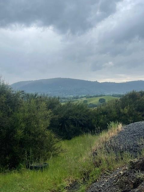 6600 Prospectors Road Lotus, CA 95651 - Photo 2 of 9 Near Entry to Property - Possible Building Site with Views.