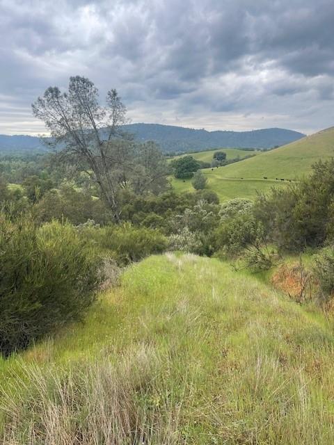 6600 Prospectors Road Lotus, CA 95651 - Photo 3 of 9 Trail/Road to South End of Property