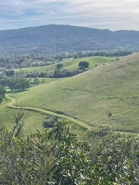 6600 Prospectors Road Lotus, CA 95651 - Photo 4 of 9 View