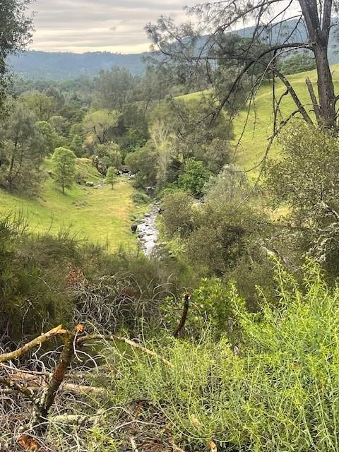 6600 Prospectors Road Lotus, CA 95651 - Photo 5 of 9 Views from Southern End of Property.