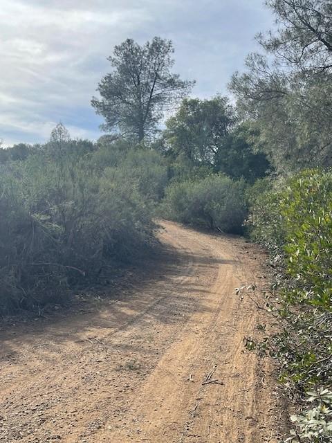 6600 Prospectors Road Lotus, CA 95651 - Photo 6 of 9 Trail/Road to top of hill - and another option for a potential home site.