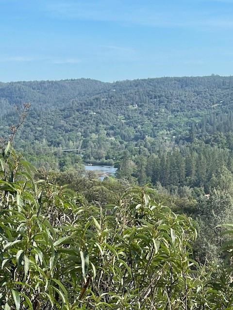 6600 Prospectors Road Lotus, CA 95651 - Photo 8 of 9 View showing portion of the American River!