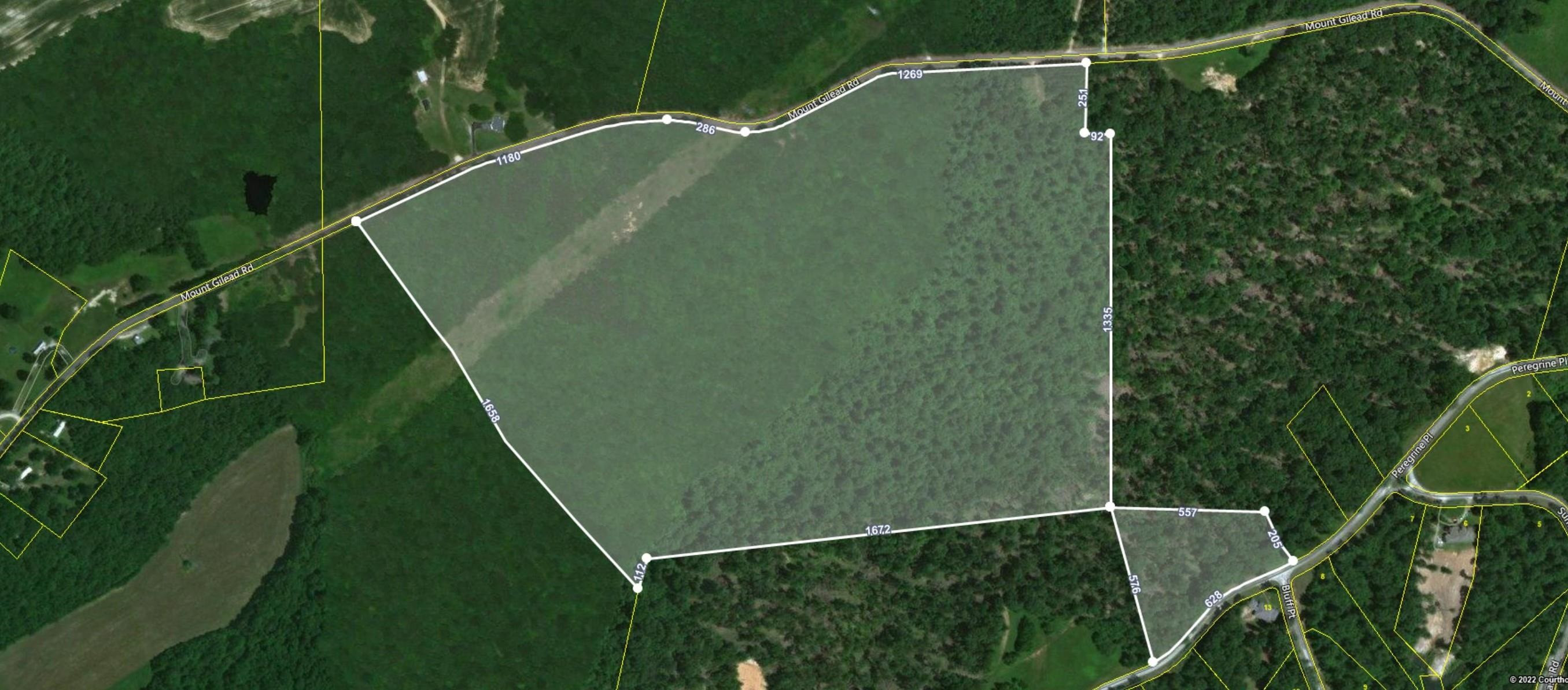 1700 Mt Gilead Road Cedar Grove, TN 38321 - Photo 1 of 14 a view of a yard