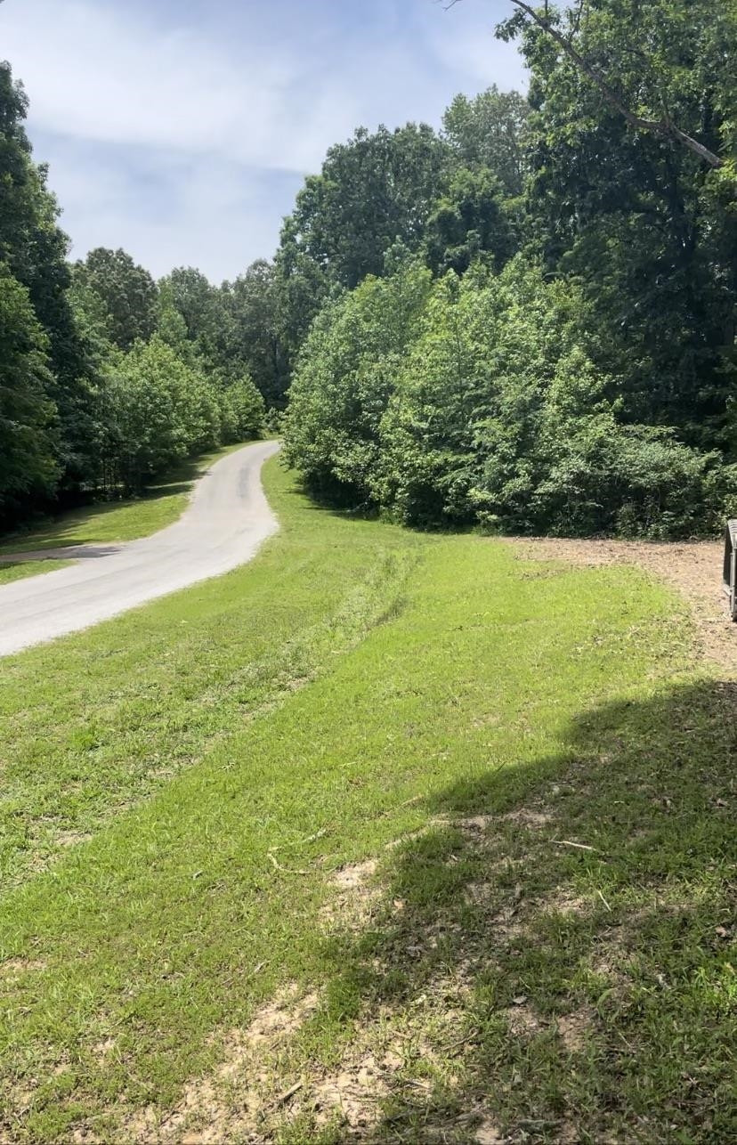1700 Mt Gilead Road Cedar Grove, TN 38321 - Photo 11 of 14 a view of an ocean from a yard