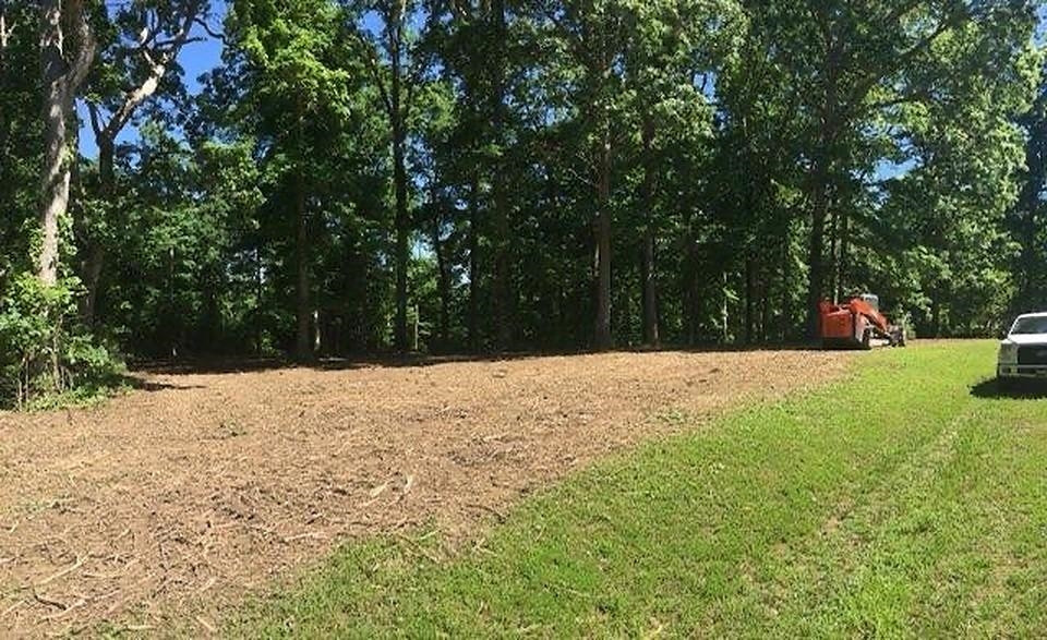 1700 Mt Gilead Road Cedar Grove, TN 38321 - Photo 12 of 14 a view of yard with trees