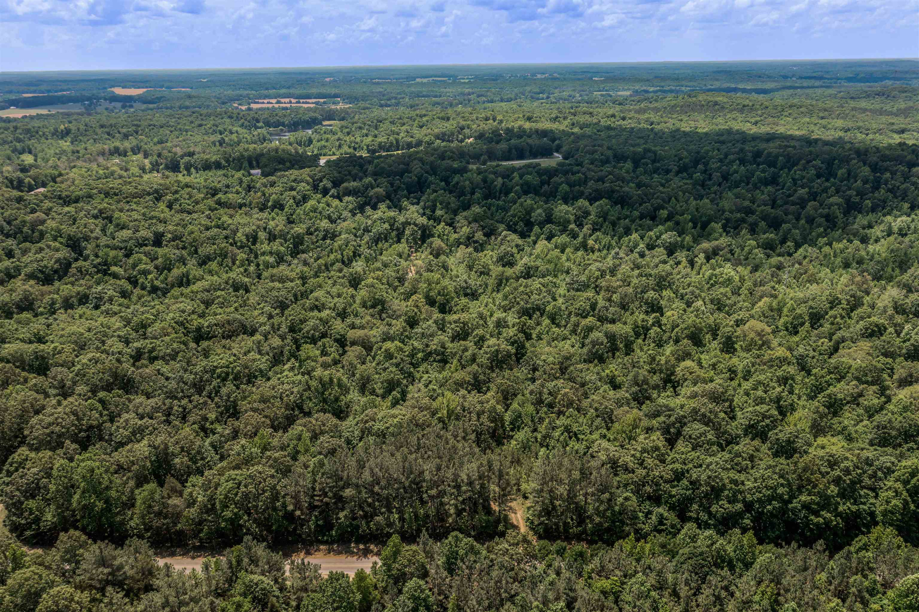 1700 Mt Gilead Road Cedar Grove, TN 38321 - Photo 3 of 14 a view of a green field with lots of bushes