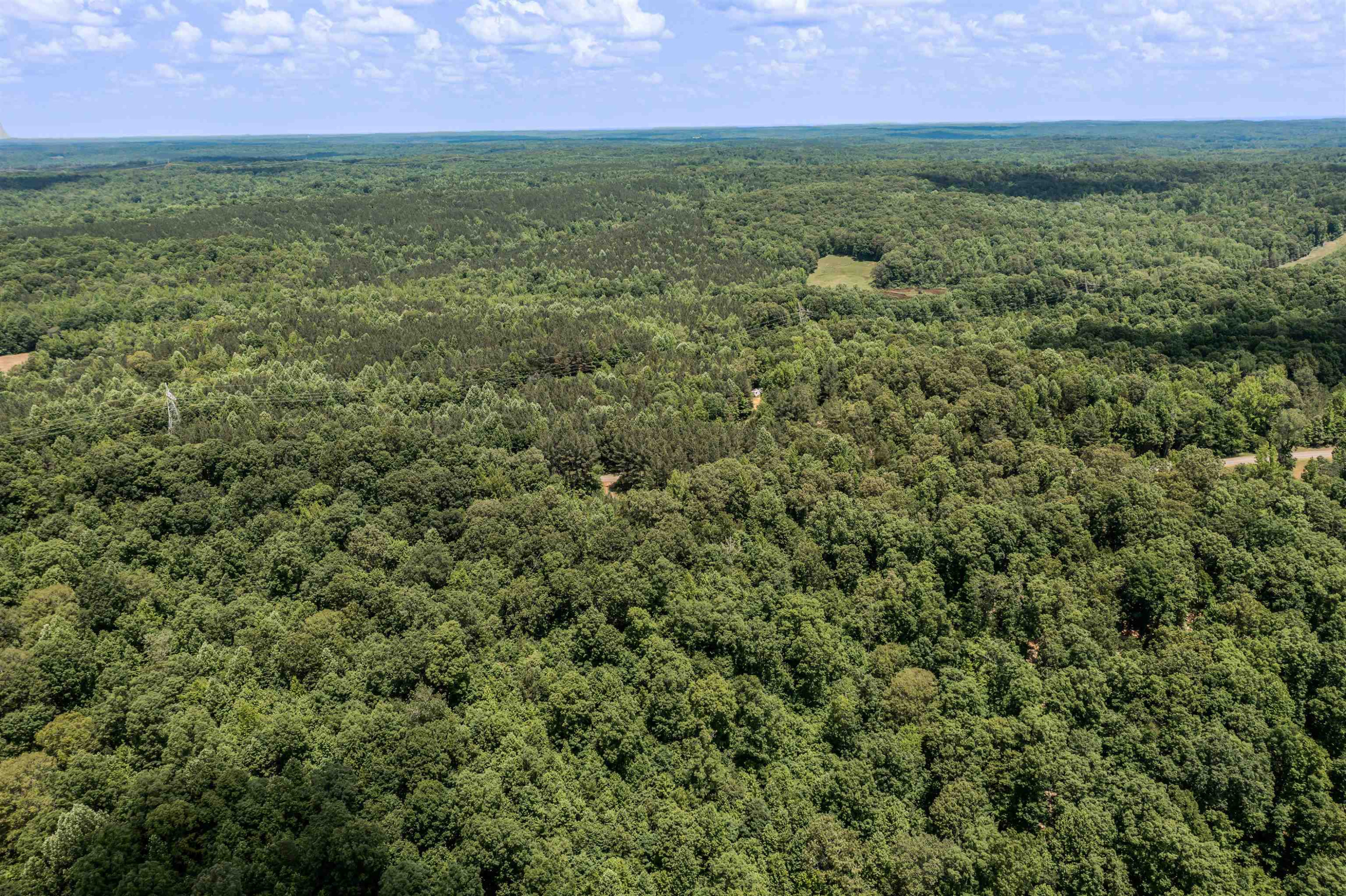 1700 Mt Gilead Road Cedar Grove, TN 38321 - Photo 6 of 14 a view of a green field