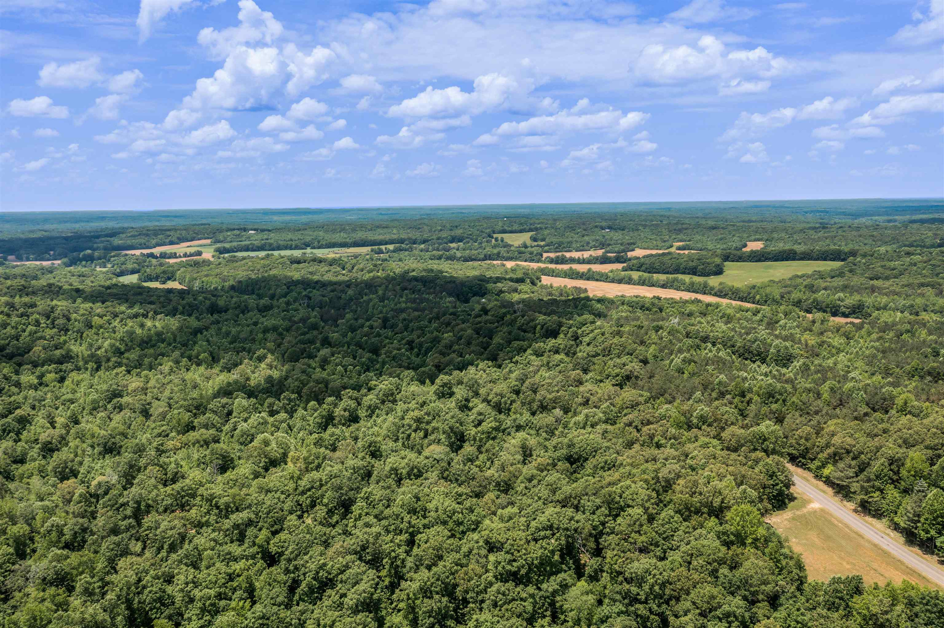 1700 Mt Gilead Road Cedar Grove, TN 38321 - Photo 7 of 14 a view of a field with an ocean