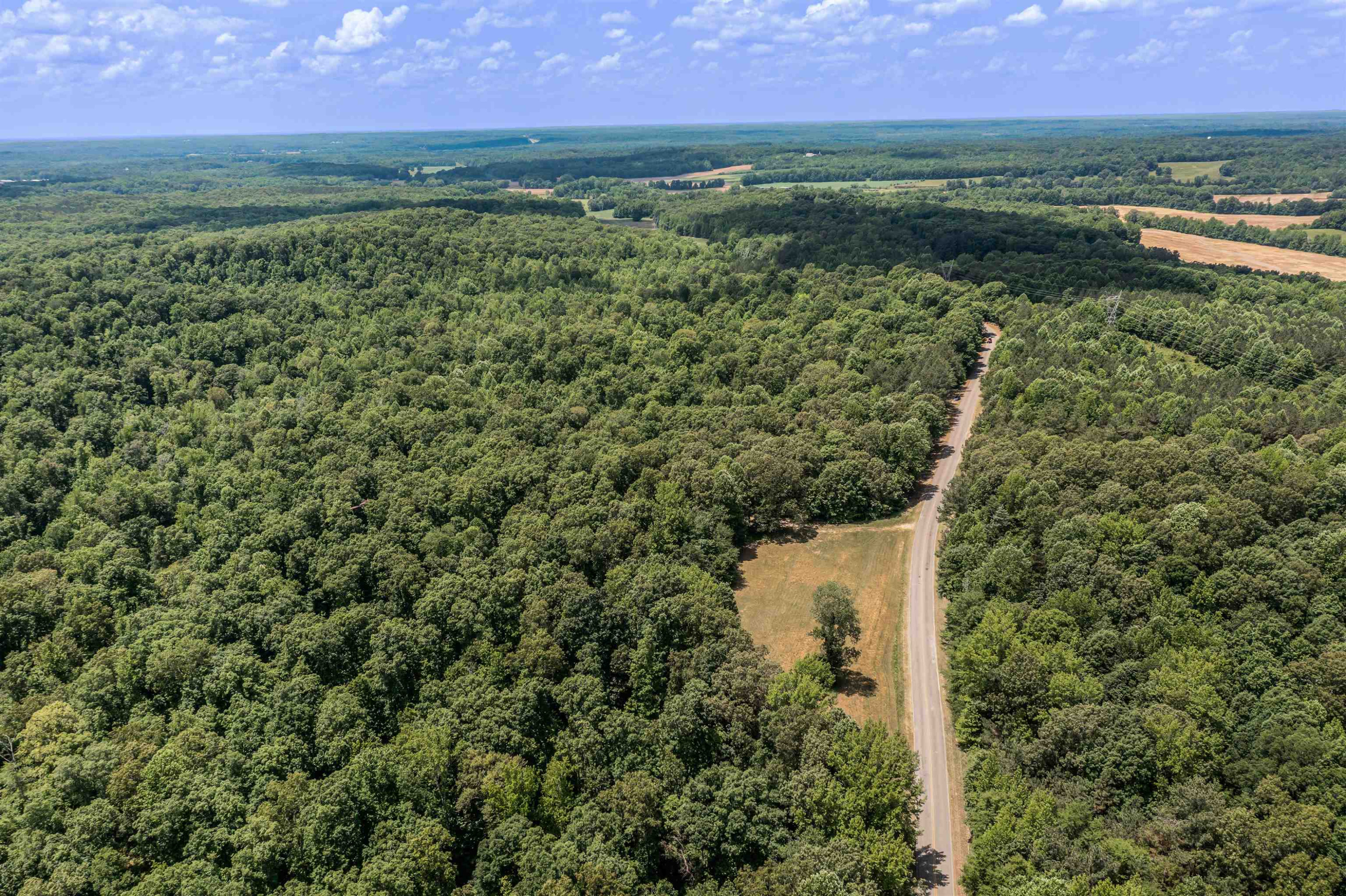 1700 Mt Gilead Road Cedar Grove, TN 38321 - Photo 8 of 14 a view of a lush green outdoor space with a lake view
